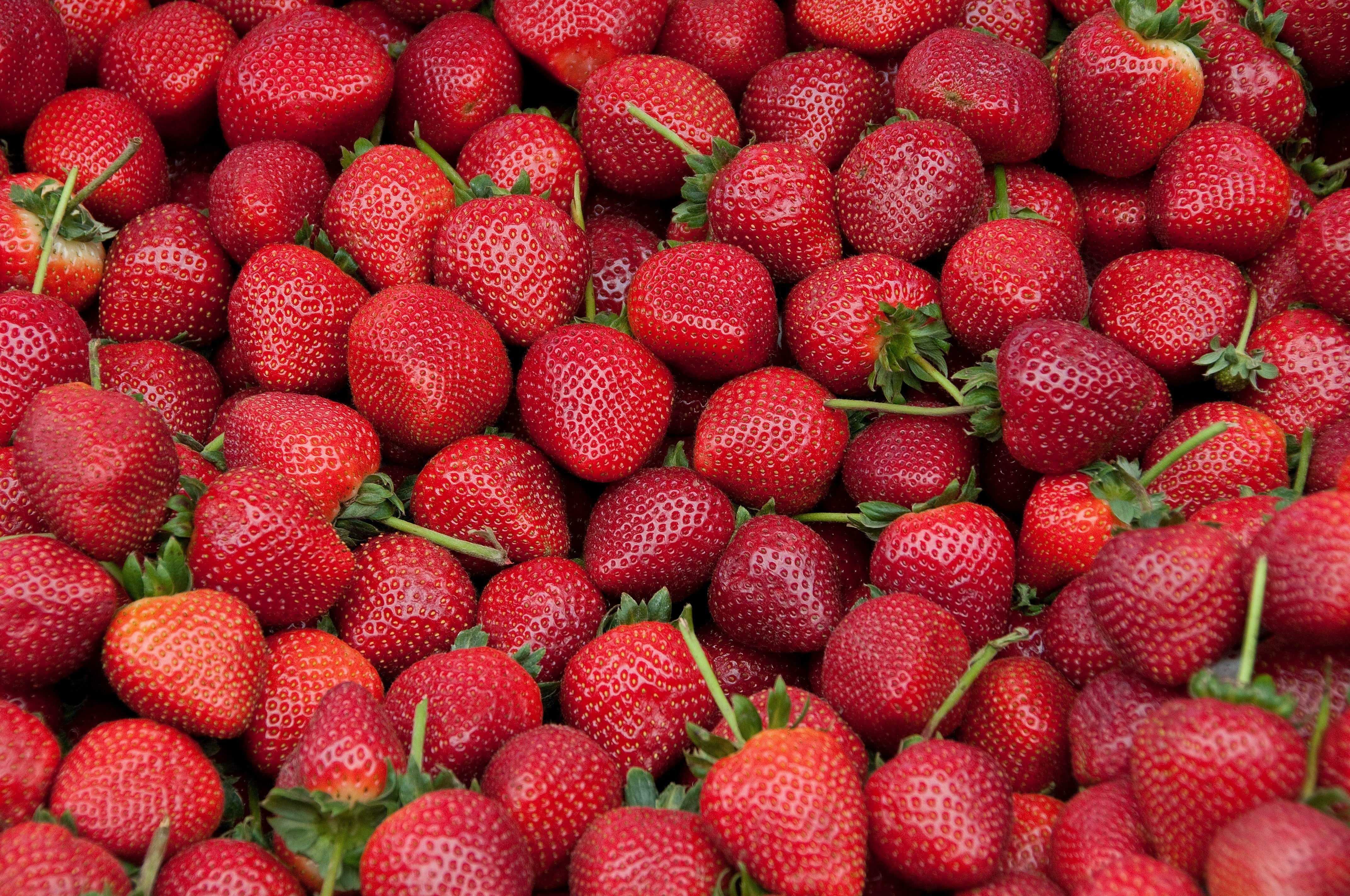 The 2025 Dirty Dozen: What You Need to Know Before Your Next Grocery Run